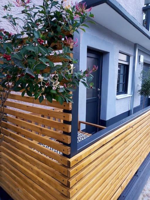 Nettes Apartment Forest Hill Birkenau Heidelberg Mannheim Weinheim Exterior foto